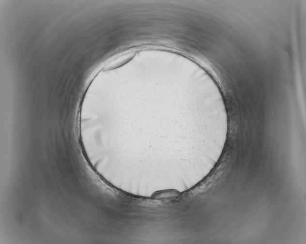 X0000111371524200908211307