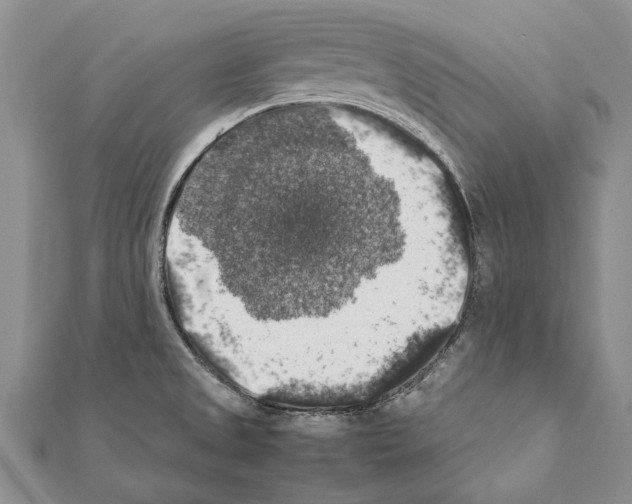 X0000111371525200908211307