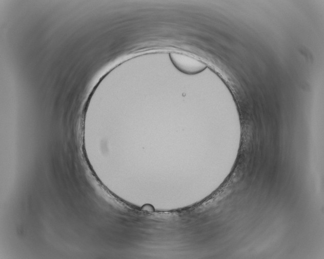 X0000111371526200908211307