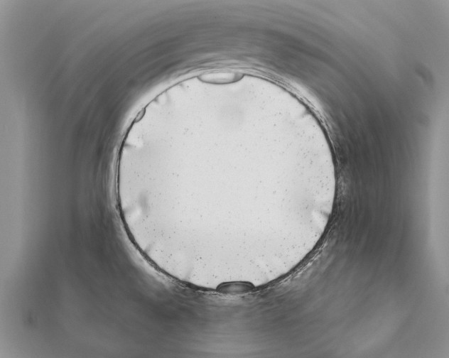 X0000111371528200908211307
