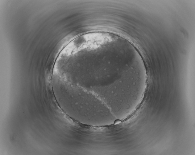 X0000111371529200908211307