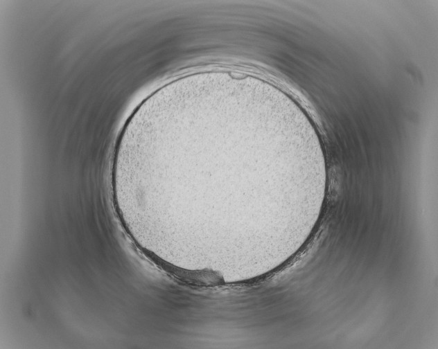 X0000111371530200908211307