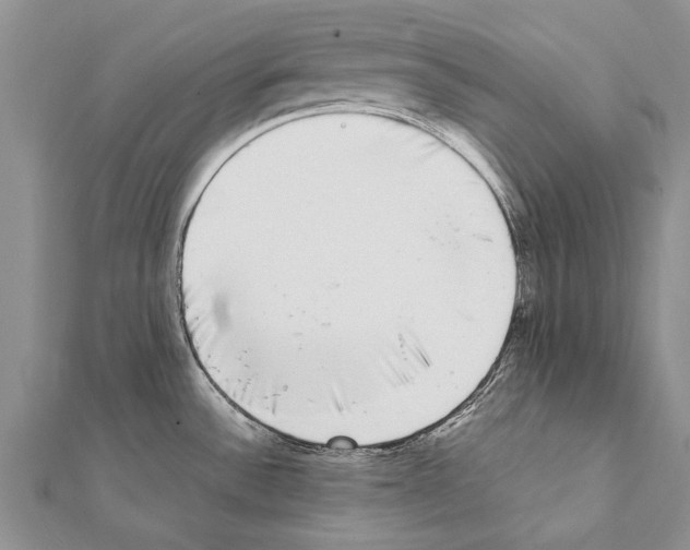 X0000111371532200908211307