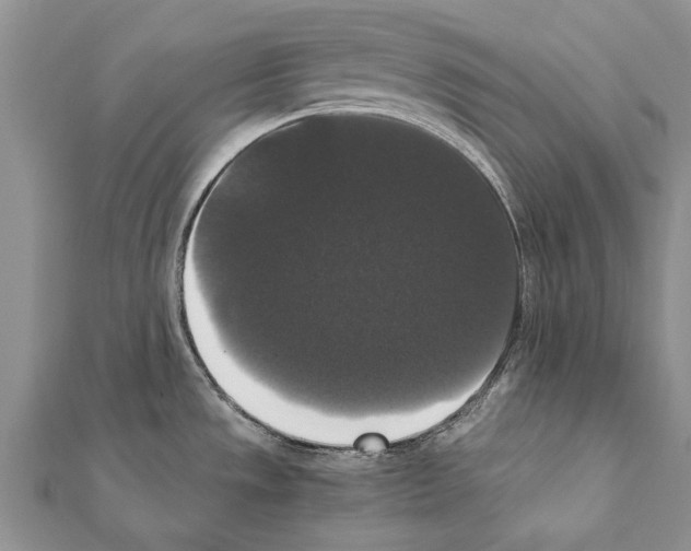 X0000111371533200908211307