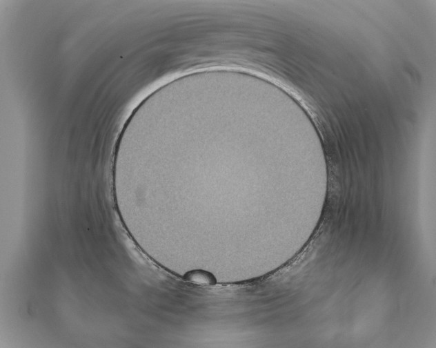 X0000111371534200908211307