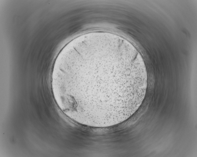 X0000111371535200908211307