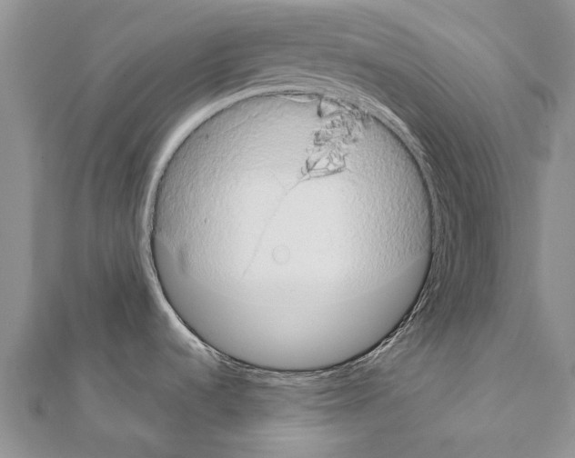 X0000111371536200908211307