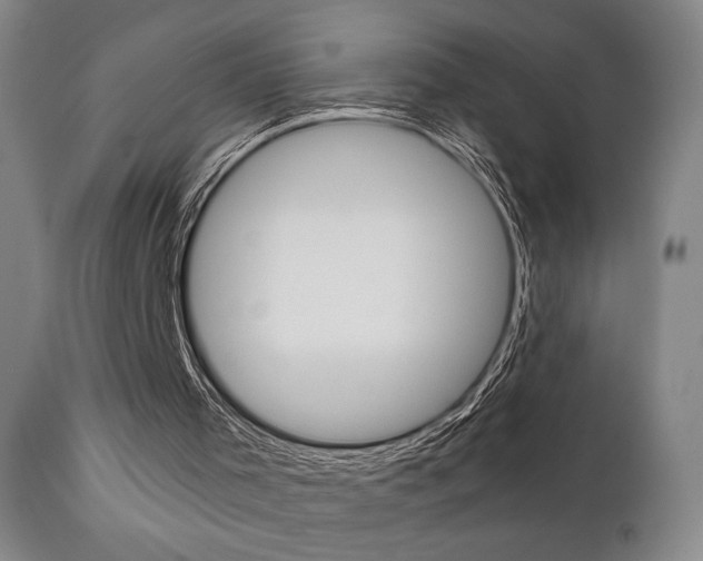 X0000111380001200907100948