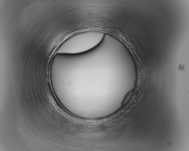 X0000111380002200907100948