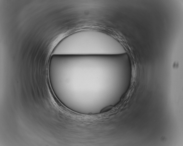 X0000111380003200907100948