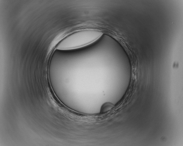 X0000111380004200907100948