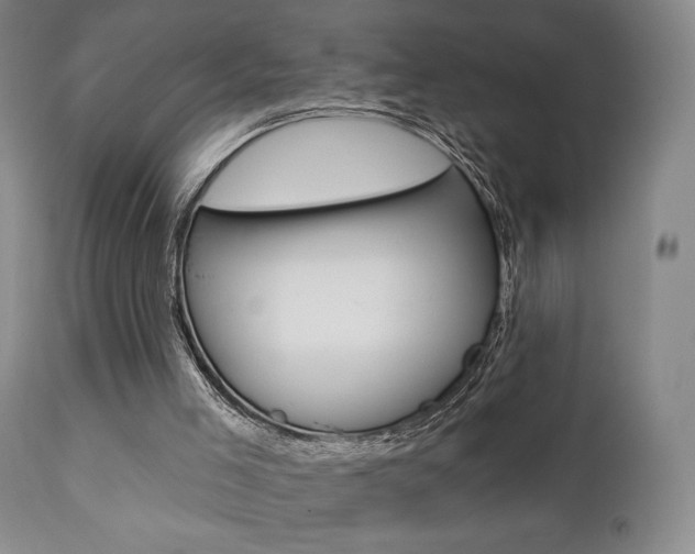 X0000111380005200907100948