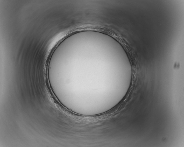 X0000111380006200907100948