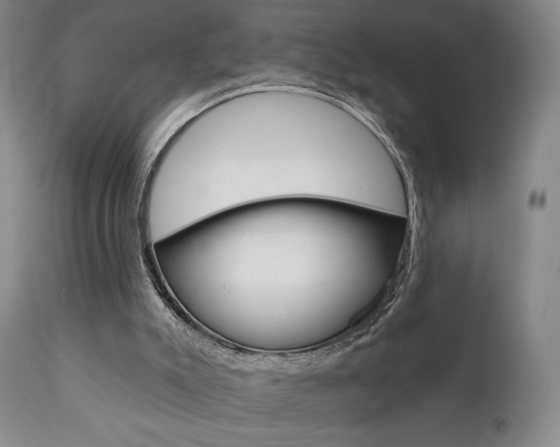 X0000111380007200907100948