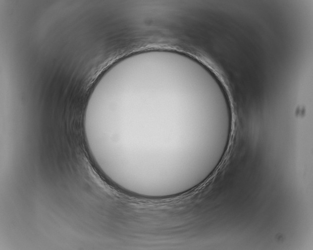 X0000111380009200907100948