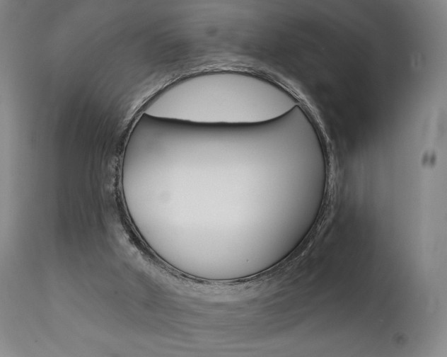 X0000111380010200907100948