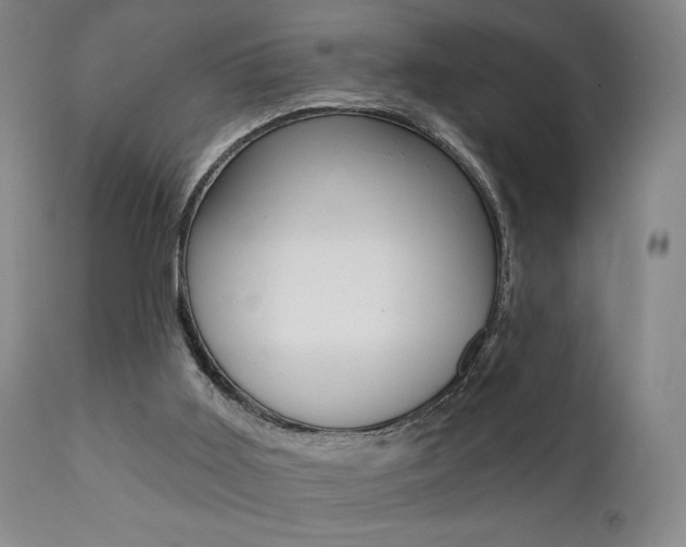 X0000111380011200907100948
