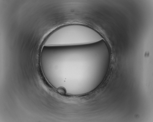 X0000111380012200907100948
