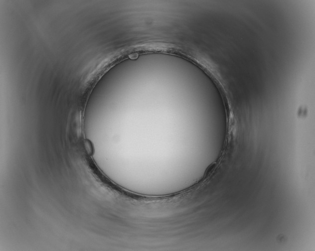X0000111380013200907100948