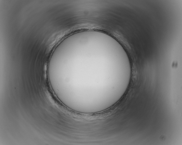 X0000111380014200907100948