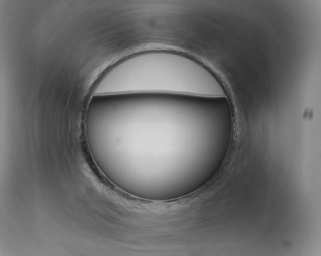 X0000111380015200907100948