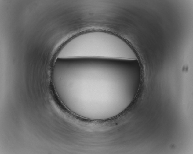 X0000111380016200907100948