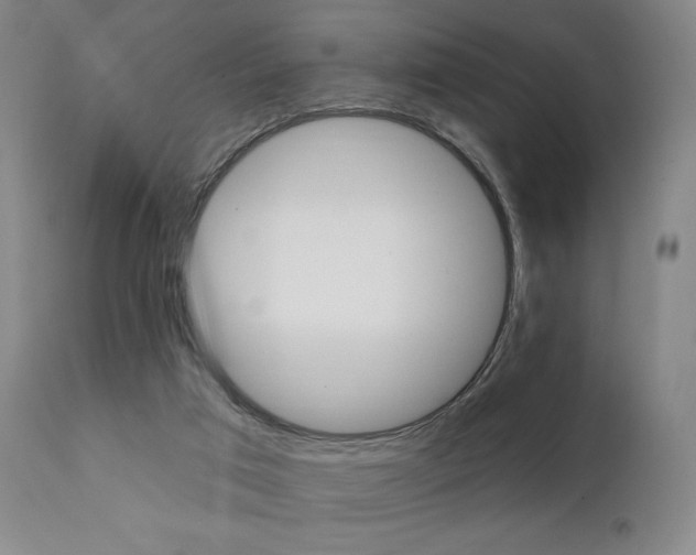 X0000111380017200907100948
