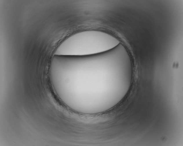 X0000111380018200907100948