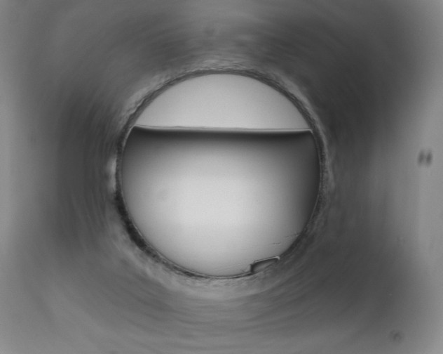 X0000111380019200907100948