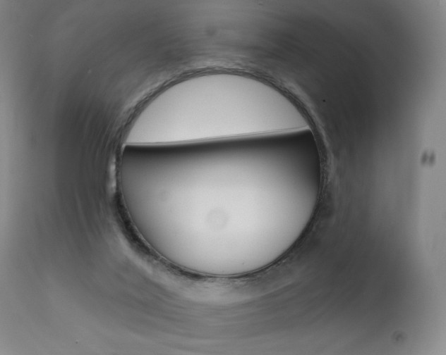 X0000111380020200907100948