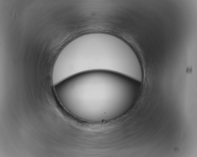 X0000111380021200907100948