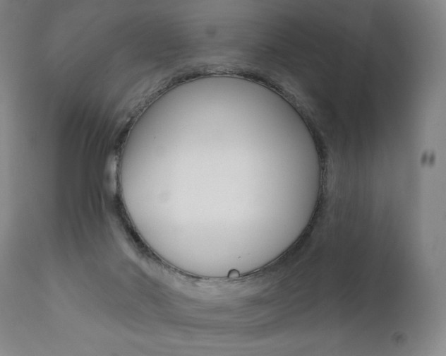 X0000111380022200907100948
