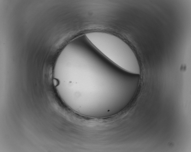 X0000111380024200907100948