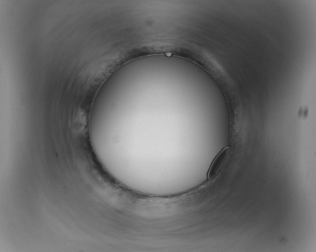 X0000111380025200907100948