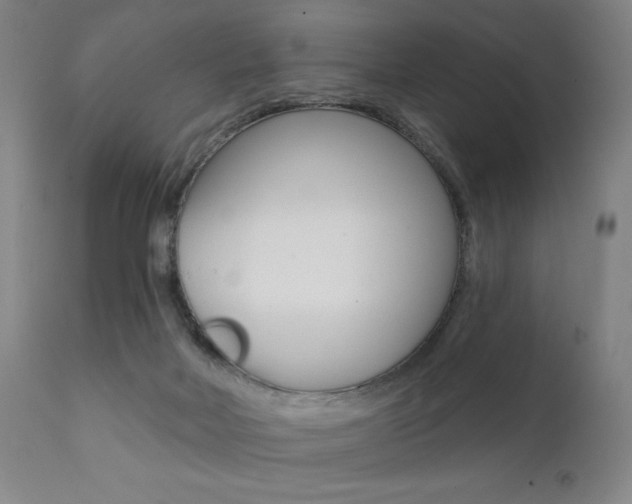 X0000111380026200907100948
