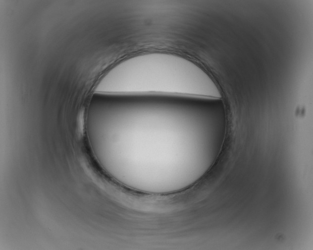 X0000111380028200907100948