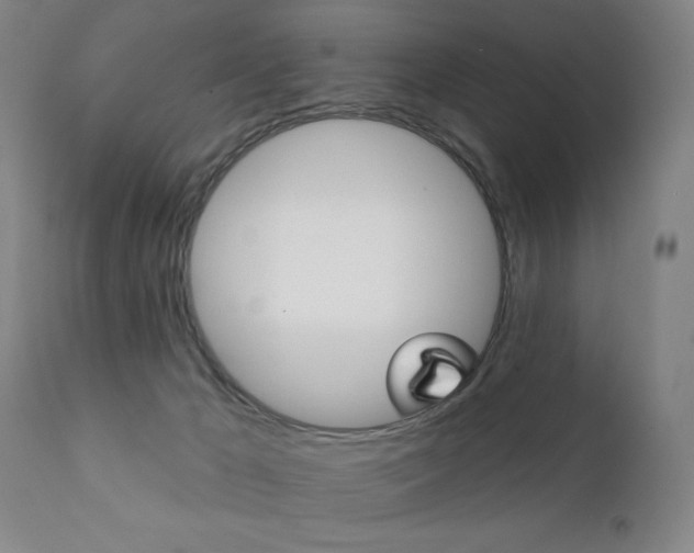 X0000111380029200907100948