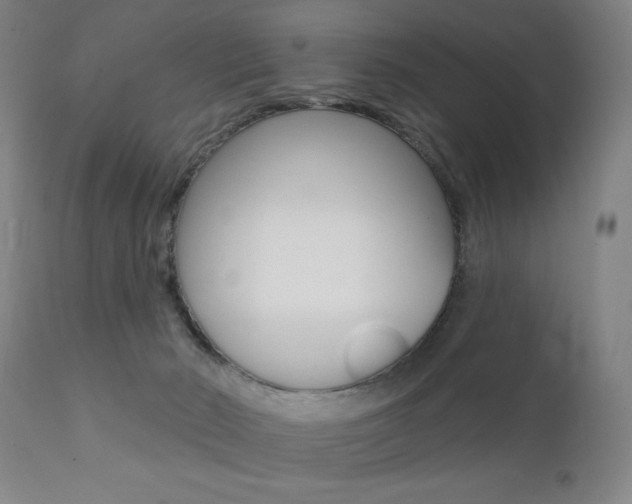 X0000111380030200907100948