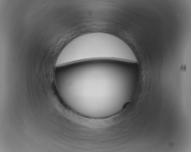 X0000111380031200907100948