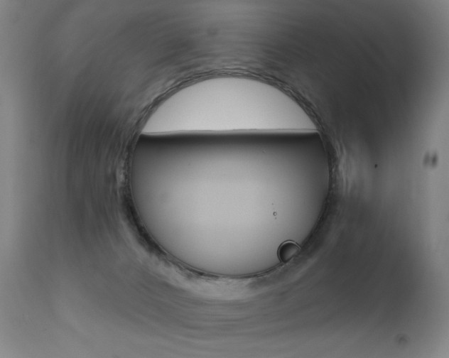 X0000111380032200907100947