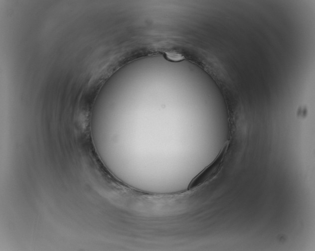 X0000111380033200907100947