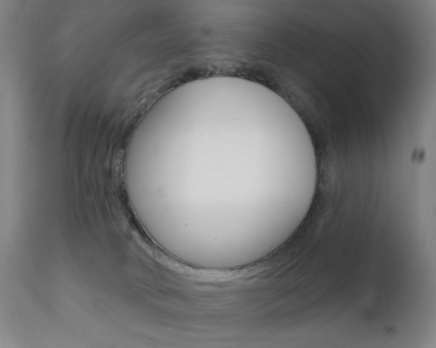 X0000111380034200907100947