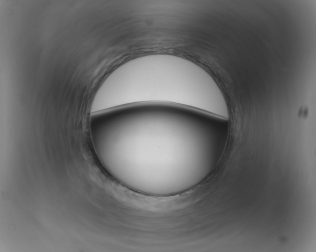 X0000111380035200907100947
