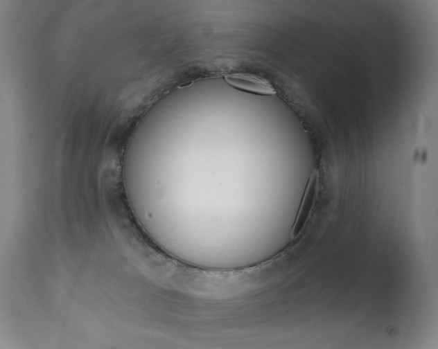X0000111380037200907100947