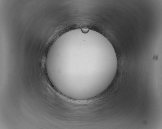 X0000111380038200907100947