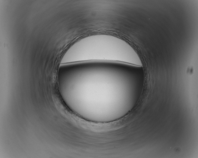 X0000111380039200907100947