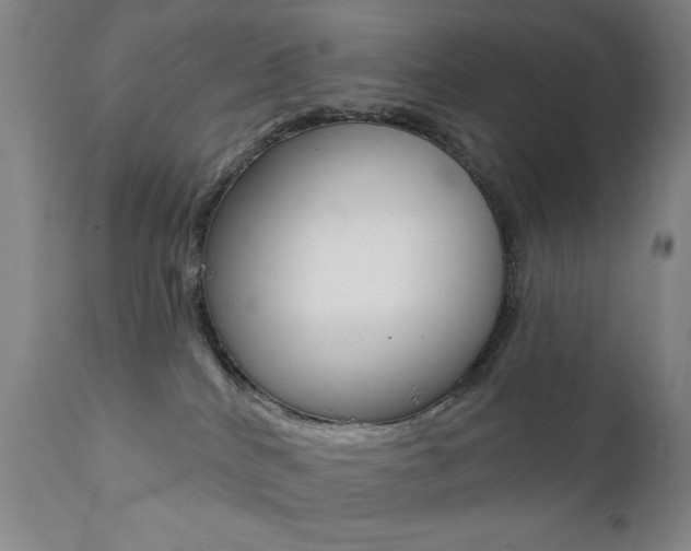 X0000111380040200907100947