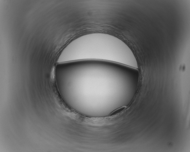 X0000111380041200907100947