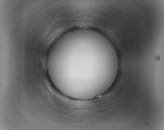 X0000111380044200907100947