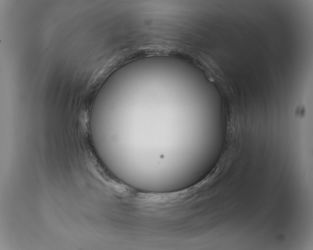 X0000111380045200907100947